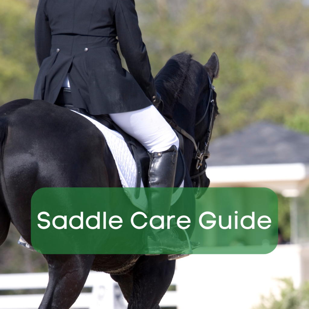 black horse and rider trotting away from camera. text overlay reads saddle care guide